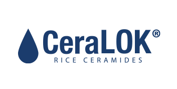CeraLok Logo