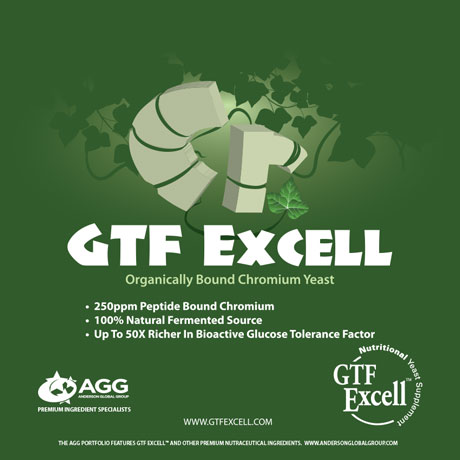 GTF Excell Poster
