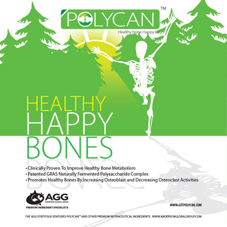 Polycan Poster Image